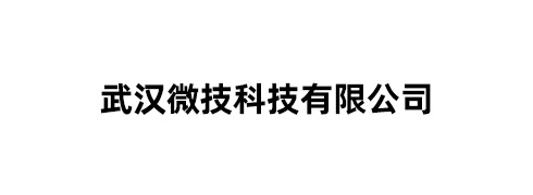 武汉微技科技有限公司